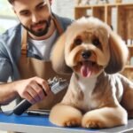 Spacer z psem – co powinieneś wiedzieć ?